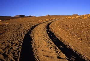 Bolivia, Uyuni, Tire tracks lead off into the desert on the Southwest Circuit Tour Bolivia, Uyuni, Tire tracks lead off into the desert on the Southwest Circuit Tour
