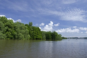 Borneo, Brunei. Dense mangrove forest along the Brunei river not far from the capital Borneo, Brunei. Dense mangrove forest along the Brunei river not far from the capital