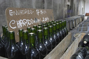 Bottles of Chardonnay 2004 standing in wooden crates. Bodega Plaza Vidiella Winery Bottles of Chardonnay 2004 standing in wooden crates. Bodega Plaza Vidiella Winery