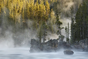 Boulders and trees in steaming Yellowstone River at sunrise, Yellowstone National Park Boulders and trees in steaming Yellowstone River at sunrise, Yellowstone National Park