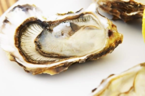 Bouzigues Languedoc. Oyster on half shell with lemon. France. Europe Bouzigues Languedoc. Oyster on half shell with lemon. France. Europe