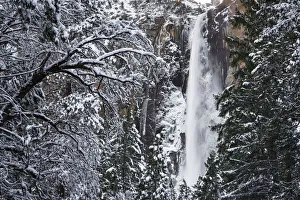 Bridalveil Fall in winter, Yosemite Valley, Yosemite National Park, California, USA Bridalveil Fall in winter, Yosemite Valley, Yosemite National Park, California, USA