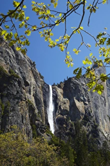 Bridalveil Fall, Yosemite Valley, Yosemite National Park, California, USA Bridalveil Fall, Yosemite Valley, Yosemite National Park, California, USA