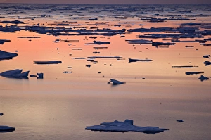 Broken sea ice at sunset Kong Oscar Fjord East Coast of Greenland Broken sea ice at sunset Kong Oscar Fjord East Coast of Greenland