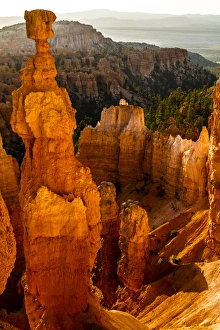 Bryce Canyon National Park, Bruce, Utah. Hoodoos Soldier and a Line of Hoodoos Warmed by Sunlight Bryce Canyon National Park, Bruce, Utah. Hoodoos Soldier and a Line of Hoodoos Warmed by Sunlight