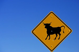 A bull sign on the California Nevada border with a a clear blue sky background A bull sign on the California Nevada border with a a clear blue sky background