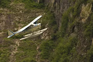 Images Dated 3rd July 2011: A bush pilot flies his float plane close to mountain in Alaskan canyon