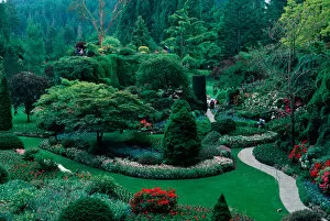 Images Dated 28th December 2006: Butchart Gardens, British Columbia, Canada