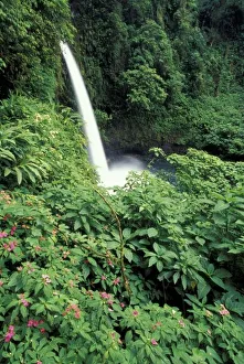 CA, Costa Rica. La Paz waterfall and impatients CA, Costa Rica. La Paz waterfall and impatients
