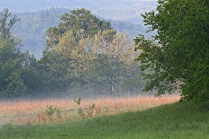 Cades Cove, Great Smoky Mountains National Park, Tennessee Cades Cove, Great Smoky Mountains National Park, Tennessee
