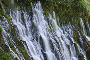 California. McArthur-Burney Falls Memorial State Park California California. McArthur-Burney Falls Memorial State Park California