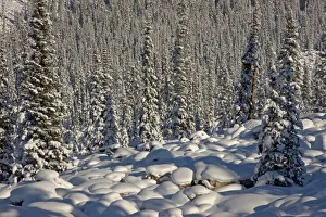 Canada, Alberta