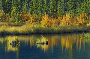 Canada, Alberta, Banff National Park. Autumn reflection in Vermillion Lake. Credit as Canada, Alberta, Banff National Park. Autumn reflection in Vermillion Lake. Credit as
