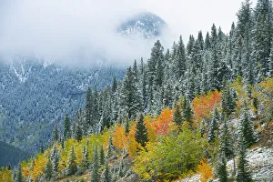 Canada, Alberta. Fog in Canadian Rocky Mountains. Credit as Canada, Alberta. Fog in Canadian Rocky Mountains. Credit as
