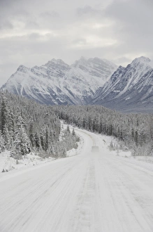 Canada, Alberta, Icefields Parkway. Jasper National Park in winter. Scenic highway Canada, Alberta, Icefields Parkway. Jasper National Park in winter. Scenic highway