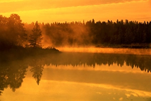 Canada, Manitoba. Fog at sunrise over Whiteshell River Canada, Manitoba. Fog at sunrise over Whiteshell River