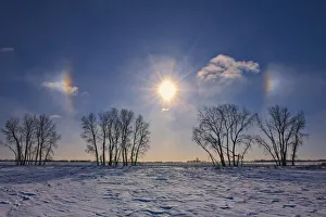 Canada, Manitoba, Grande Pointe. Sundogs and cottonwood trees Canada, Manitoba, Grande Pointe. Sundogs and cottonwood trees