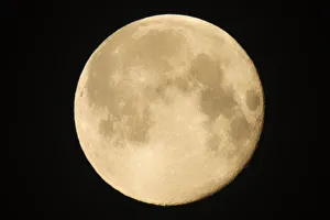 Canada, Manitoba, Winnipeg. Close-up of full moon. Credit as Canada, Manitoba, Winnipeg. Close-up of full moon. Credit as