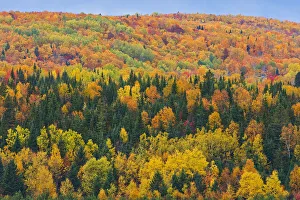 Canada, New Brunswick, Aroostook. Acadian forest in autumn foliage Canada, New Brunswick, Aroostook. Acadian forest in autumn foliage