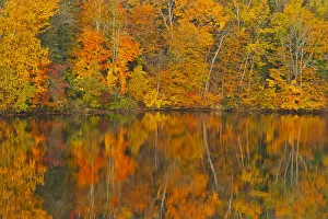Canada, New Brunswick, Mactaquac. Autumn forest reflected in Saint John River Canada, New Brunswick, Mactaquac. Autumn forest reflected in Saint John River