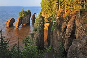 Canada, New Brunswick, The Rocks Provincial Park. Cape Hopewell rocks at sunrise at low tide Canada, New Brunswick, The Rocks Provincial Park. Cape Hopewell rocks at sunrise at low tide