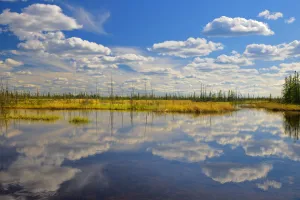 Images Dated 8th June 2010: Canada, Northwest Territories, Wood Buffalo National Park. Salt Plain and pond landscape
