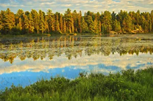 Canada, Ontario, Algonquin Provincial Park. Lake reflections at sunset. Credit as Canada, Ontario, Algonquin Provincial Park. Lake reflections at sunset. Credit as
