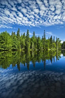 Canada, Ontario, Algonquin Provincial Park, Clouds and boreal forest reflected in Canoe Canada, Ontario, Algonquin Provincial Park, Clouds and boreal forest reflected in Canoe