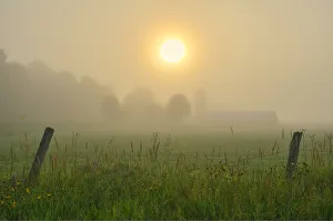 Canada, Ontario, Bourget. Farm field at sunrise in fog Canada, Ontario, Bourget. Farm field at sunrise in fog