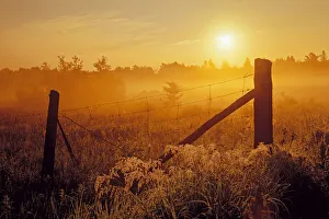 Canada, Ontario, Estaire. Fence at sunrise in fog Canada, Ontario, Estaire. Fence at sunrise in fog