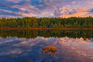 Canada, Ontario, Greater Sudbury. Lake grasses and cloud reflections at sunrise Canada, Ontario, Greater Sudbury. Lake grasses and cloud reflections at sunrise