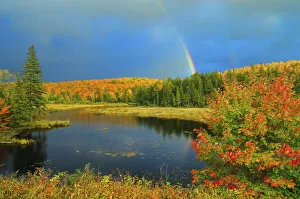 Canada, Ontario. Rainbow over wetland in autumn Canada, Ontario. Rainbow over wetland in autumn