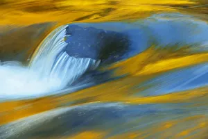 Canada, Ontario, Rushing River Provincial Park. Rock and autumn colors reflected in Rushing River Canada, Ontario, Rushing River Provincial Park. Rock and autumn colors reflected in Rushing River