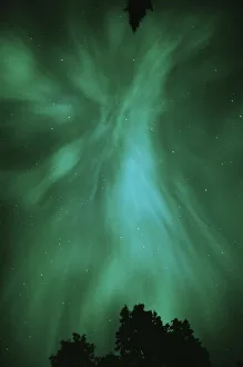 Sudbury Gallery: Canada, Ontario, Sudbury. Northern Lights and trees