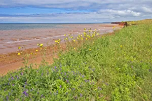 Canada, Prince Edward Island, Skinners Pond. Red sandstone beach on Northumberland Strait Canada, Prince Edward Island, Skinners Pond. Red sandstone beach on Northumberland Strait
