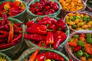 Produce Gallery: Canada, Quebec, Montreal. Little Italy, Marche Jean Talon Market, peppers