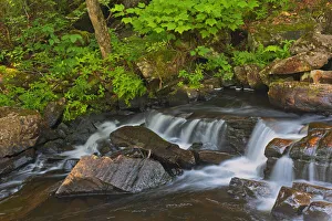Canada, Quebec, Parc National du Mont-Tremblant. Scenic of waterfall over rocks Canada, Quebec, Parc National du Mont-Tremblant. Scenic of waterfall over rocks