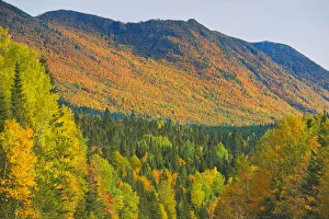 Canada, Quebec, Parc National de la Gaspesie. Autumn colors in Chic-Choc Mountains Canada, Quebec, Parc National de la Gaspesie. Autumn colors in Chic-Choc Mountains