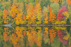Canada, Quebec, Saint-Mathieu-du-Parc. Autumn colors reflected in Lac Trudel Canada, Quebec, Saint-Mathieu-du-Parc. Autumn colors reflected in Lac Trudel