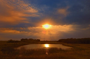Canada, Saskatchewan, Dubuc. Sunset over pond Canada, Saskatchewan, Dubuc. Sunset over pond