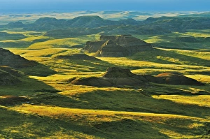 Canada, Saskatchewan, Grasslands National Park. Rolling hills of the Killdeer Badlands at sunset Canada, Saskatchewan, Grasslands National Park. Rolling hills of the Killdeer Badlands at sunset
