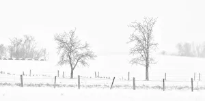 Canada, Saskatchewan, Pelley. Whiteout on a prairie Canada, Saskatchewan, Pelley. Whiteout on a prairie