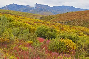 Canada, Yukon. Autumn-colored hills and fog. Credit as: Mike Grandmaison / Jaynes Gallery Canada, Yukon. Autumn-colored hills and fog. Credit as: Mike Grandmaison / Jaynes Gallery