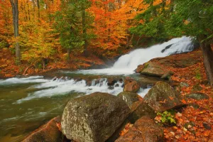 Autumn Landscape Print of Skeleton River at Hatchery Falls
