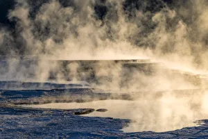 Canary Spring and steaming mist at sunrise, Mammoth Hot Springs, Yellowstone National Park, Wyoming Canary Spring and steaming mist at sunrise, Mammoth Hot Springs, Yellowstone National Park, Wyoming