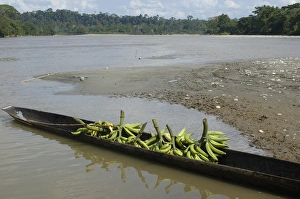 Canoe on Misahualli River which runs into the Napo River Amazon Rain Forest. ECUADOR Canoe on Misahualli River which runs into the Napo River Amazon Rain Forest. ECUADOR