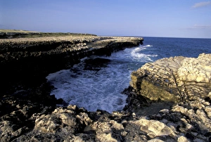 Caribbean, Antigua, eastern coast Devils Bridge Caribbean, Antigua, eastern coast Devils Bridge