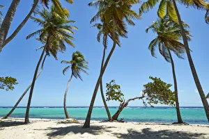 Caribbean, French West Indies, Guadeloupe. Marie-Galante Island, part of France Caribbean, French West Indies, Guadeloupe. Marie-Galante Island, part of France
