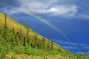 Carmacks. Rainbow over mountain slope. Credit as: Mike Grandmaison / Jaynes Gallery Carmacks. Rainbow over mountain slope. Credit as: Mike Grandmaison / Jaynes Gallery