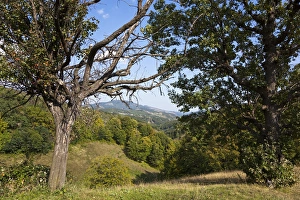 The Carpathian Mountains west of Baia de Arama The Carpathian Mountains west of Baia de Arama